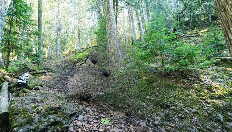 Mountain Biking on Michigan’s Keweenaw Peninsula Mountain Bike Trails A view of the Kalkaska Mountain Bike Trails from above, with winding paths and dense trees leading into the distance